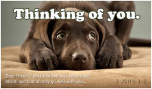 15123-thinking-of-you-dog1